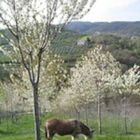 Σπίτι διακοπών Casa Maya