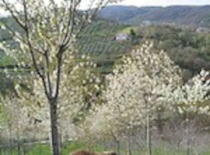 Vakantiehuis Casa Maya